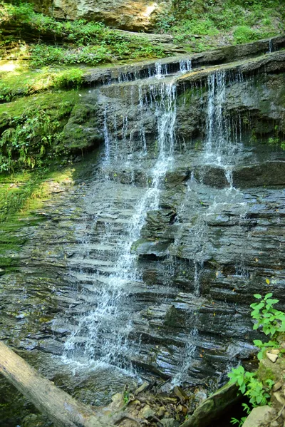 DSC_2753 (Large).JPG